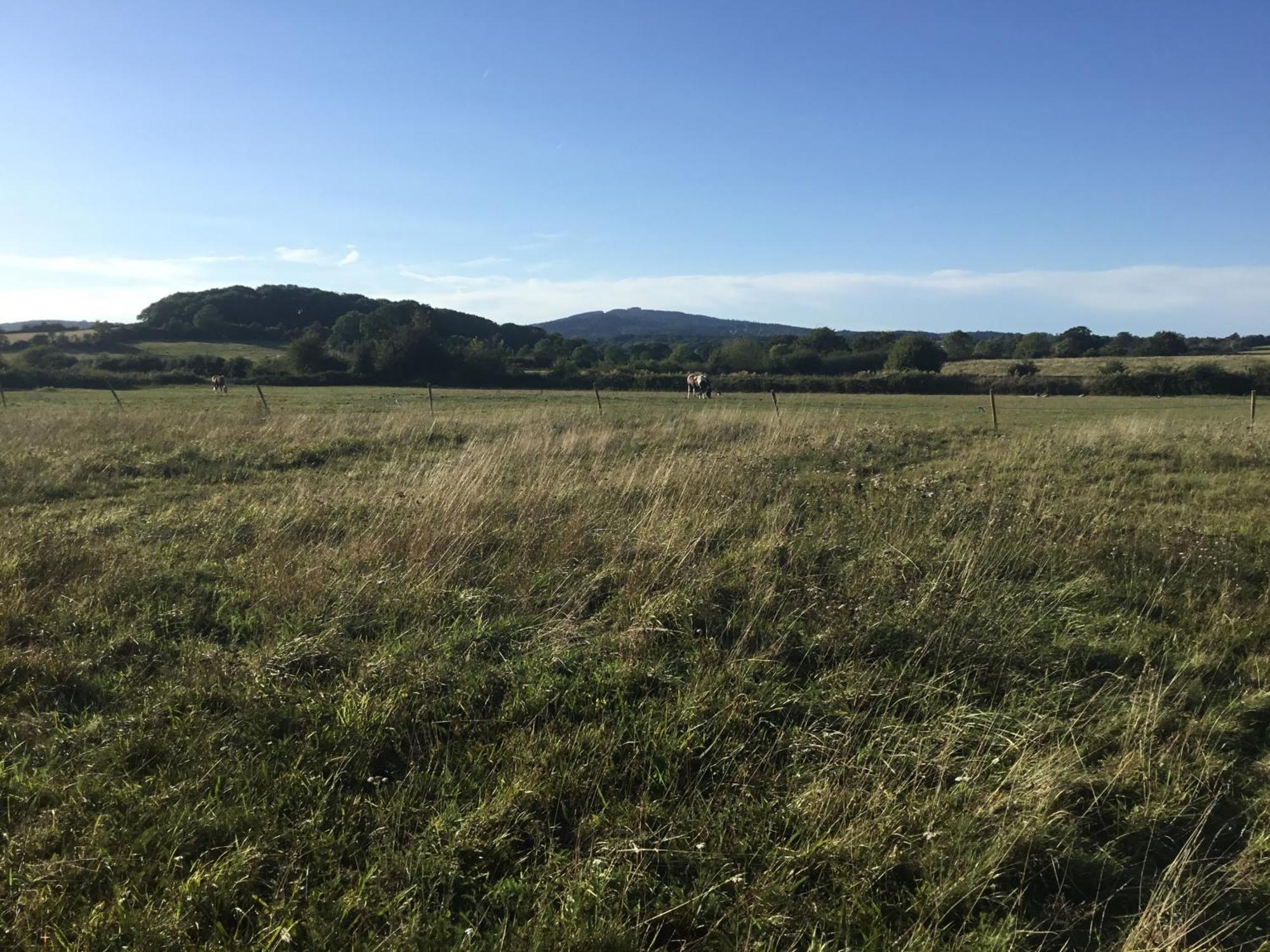 ホテル Green Fields Glamping グロスター エクステリア 写真